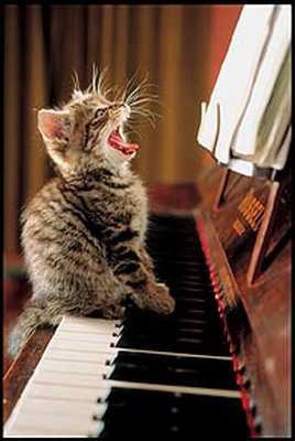 vocal coaching